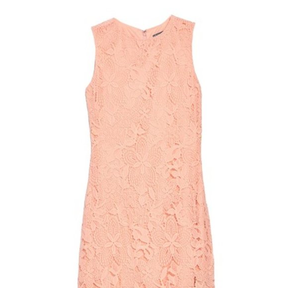 Peach Pink Sharagano Lace Midi Dress - Sz 6 (NWT) - Picture 15 of 15